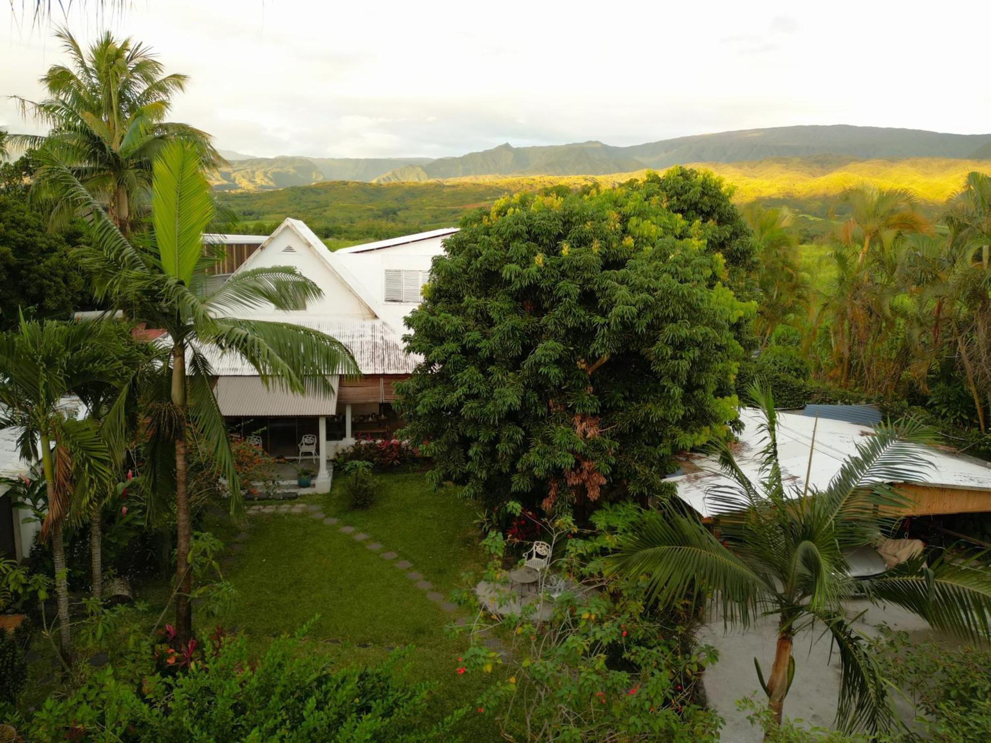 Bras-Panon Le Medinilla B&B 외부 사진